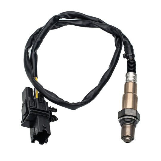 O21000 Oxygen Sensor KTVC