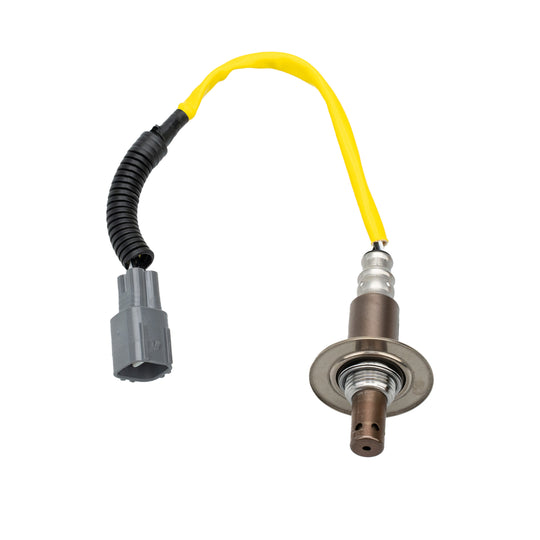 O21030 Oxygen Sensor KTVC