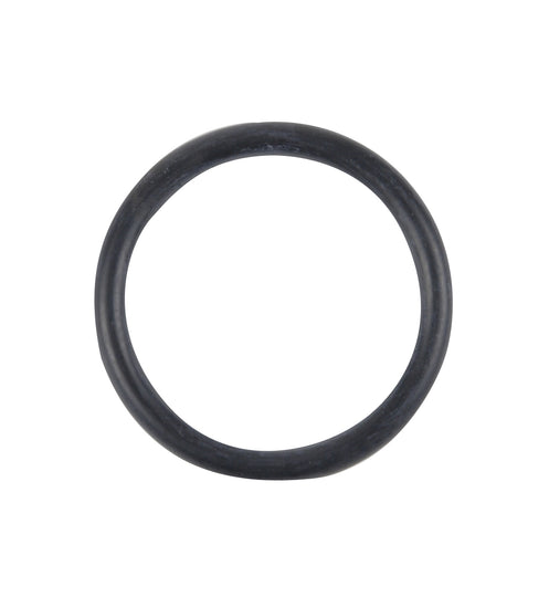 LO54 Spectra Premium Fuel Pump Tank Seal Spectra Premium Canada