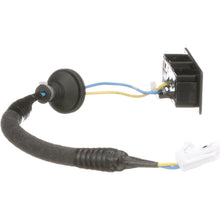 Load image into Gallery viewer, LSW111 Standard Import Liftgate Latch Release Switch Standard Import Canada