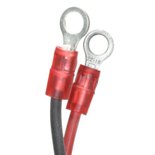 Load image into Gallery viewer, LX-806 Standard Ignition Ignition Conversion Kit Standard Ignition Canada