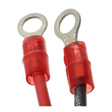 Charger l'image dans la galerie, LX-815 Standard Import Ignition Conversion Kit Standard Import Canada