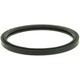 Engine Coolant Thermostat Seal