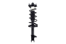 Load image into Gallery viewer, MP1331008L Suspension Strut and Coil Spring Assembly Stamina Struts &amp; Shocks Canada