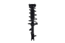 Load image into Gallery viewer, MP1331060R Suspension Strut and Coil Spring Assembly Stamina Struts &amp; Shocks Canada