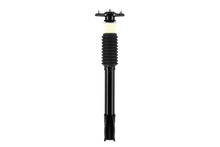 Load image into Gallery viewer, MP1332310 Suspension Strut and Coil Spring Assembly Stamina Struts &amp; Shocks Canada