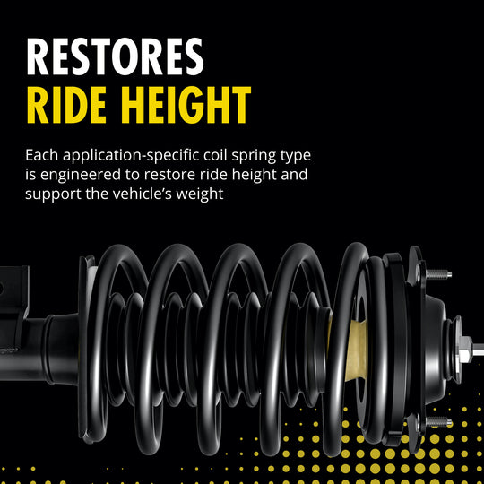 183013 RoadMatic Complete Strut Assembly Monroe Canada
