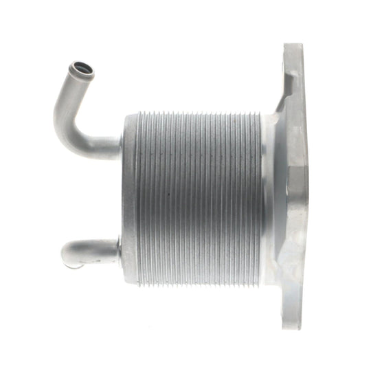 OCK100 Standard Import Automatic Dual Clutch Transmission Oil Cooler Standard Import Canada