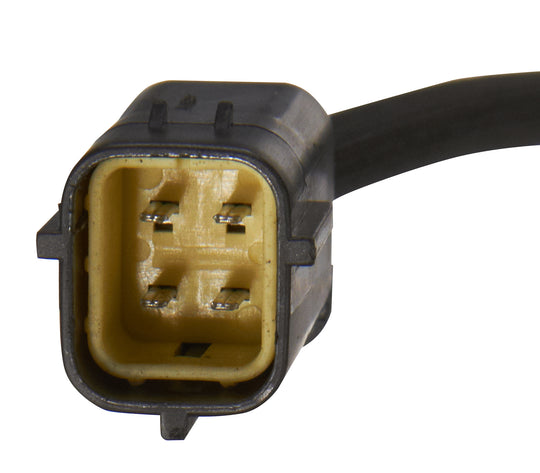OS5040 Spectra Premium Oxygen Sensor Spectra Premium Canada