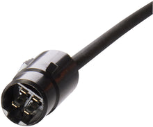 Load image into Gallery viewer, OS5390 Spectra Premium Oxygen Sensor Spectra Premium Canada