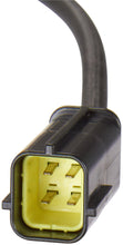 Load image into Gallery viewer, OS5559 Spectra Premium Oxygen Sensor Spectra Premium Canada