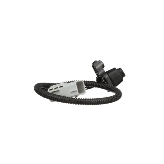 PAC181 Standard Ignition Park Assist Camera Standard Ignition Canada