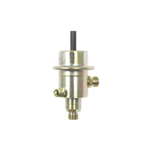 Load image into Gallery viewer, PR396 Standard Ignition Fuel Injection Pressure Regulator Standard Ignition Canada
