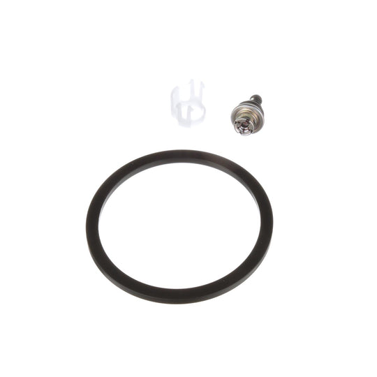 PR610 Standard Import Fuel Injection Pressure Regulator Standard Import Canada
