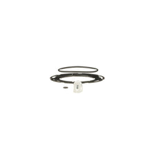 Load image into Gallery viewer, PR613 Standard Ignition Fuel Injection Pressure Regulator Standard Ignition Canada