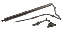 Load image into Gallery viewer, 2Q-587748 Liftgate Lift Support Stabilus