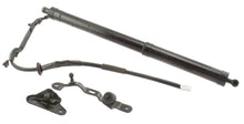 Load image into Gallery viewer, 2Q-587987 Liftgate Lift Support Stabilus