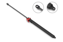 Load image into Gallery viewer, 3B-6512AJ Hood Lift Support Stabilus
