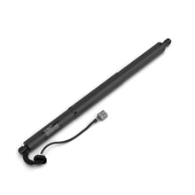 Charger l'image dans la galerie, 3A-408489 Liftgate Lift Support Stabilus