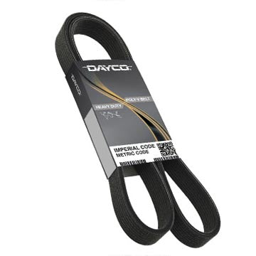 5080933 Serpentine Belt Dayco Canada