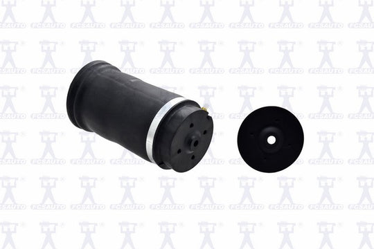 Q4001 Rear Air Suspension Spring FCS Shocks & Struts