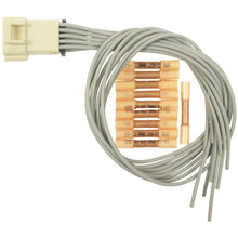Load image into Gallery viewer, S-1660 Standard Ignition Cruise Control Module Connector Standard Ignition Canada