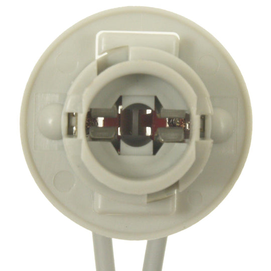 S-1719 Standard Ignition License Plate Light Socket Standard Ignition Canada