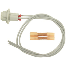 Load image into Gallery viewer, S-1719 Standard Ignition License Plate Light Socket Standard Ignition Canada