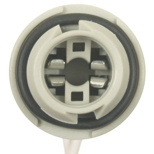 S-1724 Standard Ignition License Plate Light Socket Standard Ignition Canada