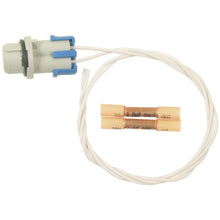 Load image into Gallery viewer, S-1724 Standard Ignition License Plate Light Socket Standard Ignition Canada