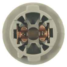 Load image into Gallery viewer, S-1732 Standard Ignition License Plate Light Socket Standard Ignition Canada