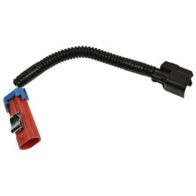 Load image into Gallery viewer, S-1829 Vapor Canister Vent Solenoid Harness Standard Ignition Canada