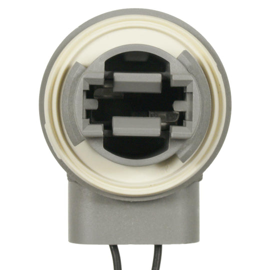 S-1881 Standard Ignition Back Up Light Socket Standard Ignition Canada