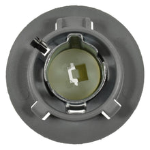 Load image into Gallery viewer, S-2287 Standard Ignition Back Up Light Socket Standard Ignition Canada