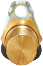 Load image into Gallery viewer, S10080 Spectra Premium Engine Crankshaft Position Sensor Spectra Premium Canada