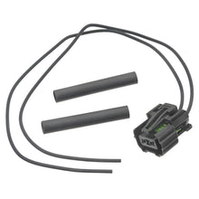 Charger l'image dans la galerie, S2391 Standard Ignition Multi-Purpose Light Bulb Socket Standard Ignition Canada
