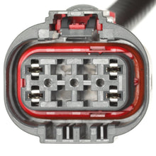 Load image into Gallery viewer, S2621 Standard Ignition Tail Light Wiring Harness Standard Ignition Canada