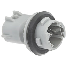 Charger l'image dans la galerie, S2654 Standard Import Multi-Purpose Light Bulb Socket Standard Import Canada