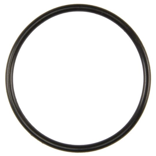 35875 Engine Water Pump O-Ring Felpro