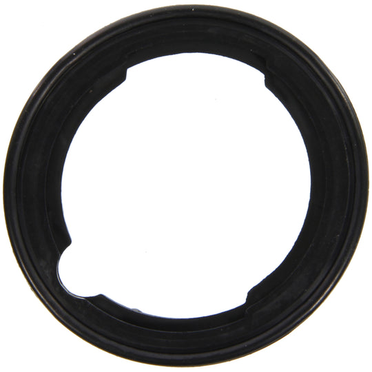 35902 Engine Coolant Thermostat Seal Felpro