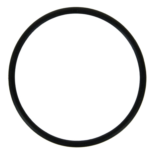 35969 Engine Water Pump O-Ring Felpro