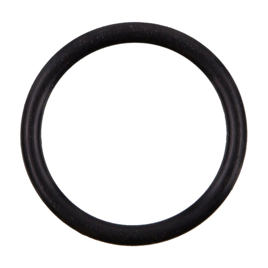 36056 Engine Coolant Pipe O-Ring Felpro