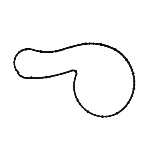 36118 Engine Water Pump Seal Felpro