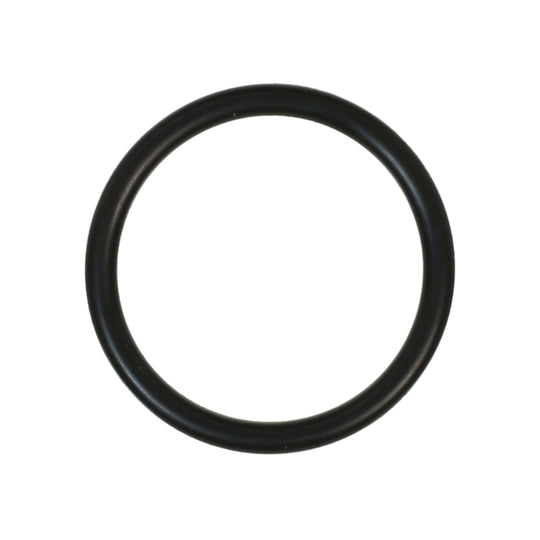 424 Distributor O-Ring Felpro