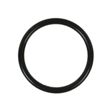 Charger l'image dans la galerie, 425 RR Distributor O-Ring Felpro