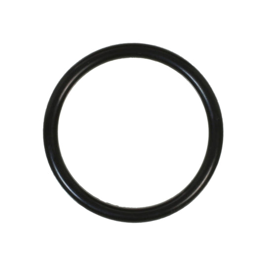 425 RR Distributor O-Ring Felpro