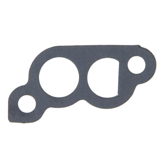 61245 Fuel Injection Idle Air Control Valve Gasket Felpro