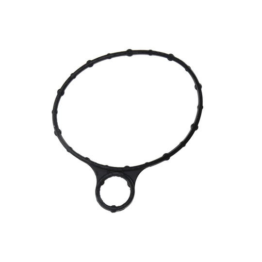 71855 Vacuum Pump Gasket Felpro