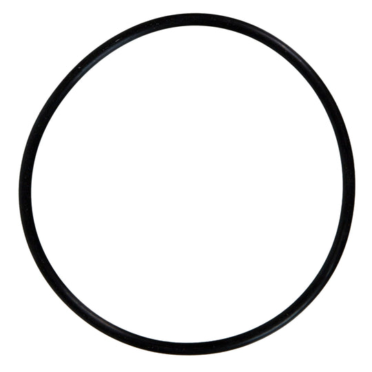 72946 Fuel Injection Plenum O-Ring Felpro