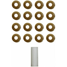 Load image into Gallery viewer, SS 70529 Engine Valve Stem Oil Seal Set Felpro